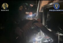 Tânăr | MyTex.ro