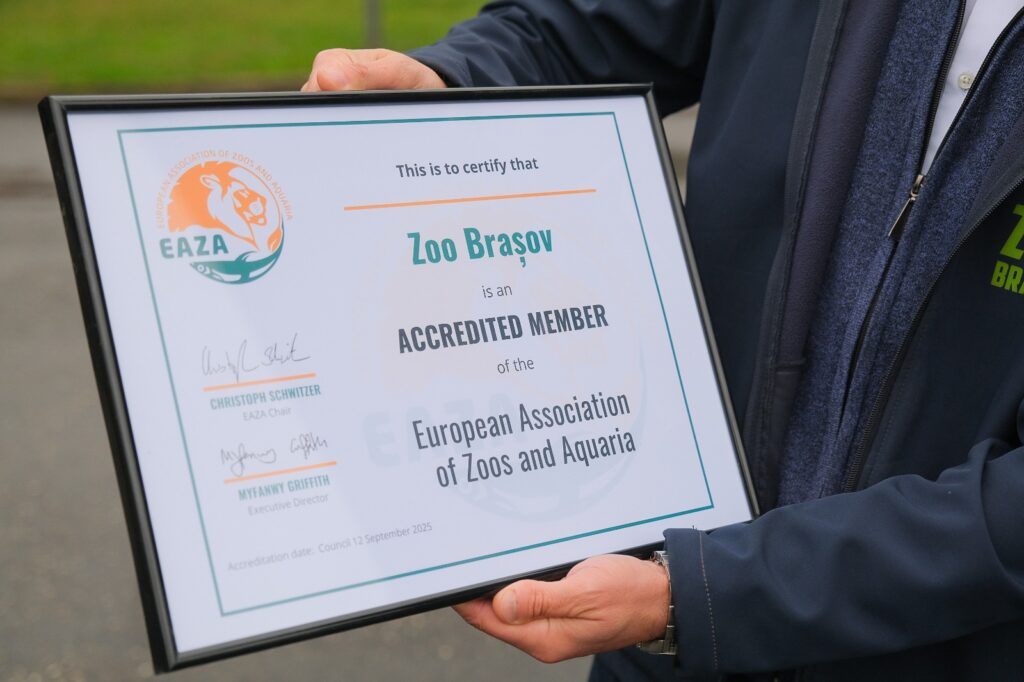 Zoo Braşov | MyTex.ro