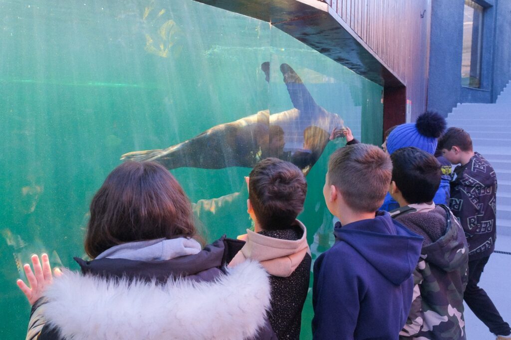 Zoo Braşov | MyTex.ro