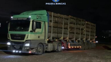 TIR încărcat cu lemne, confiscat de polițiștii brașoveni 4 infracțiuni | MyTex.ro