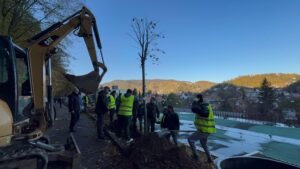 Campanie de plantări Sub Tâmpa 36 Campanie de plantări Sub Tâmpa | MyTex.ro