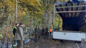 Campanie de plantări Sub Tâmpa 38 Campanie de plantări Sub Tâmpa | MyTex.ro