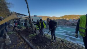 Campanie de plantări Sub Tâmpa 29 Campanie de plantări Sub Tâmpa | MyTex.ro