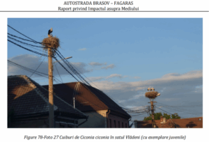 Autostrada | MyTex.ro