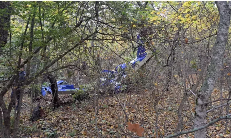 Om de afaceri milionar, mort într-un accident aviatic 1 om de afaceri mort