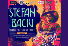 Video mapping până la miezul nopții | MyTex.ro