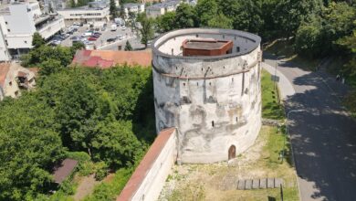 Universitatea Transilvania | MyTex.ro