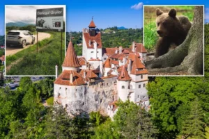 Zona Brașovului | MyTex.ro