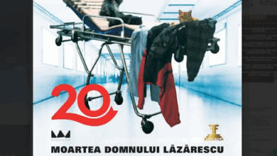 proiecție specială la Brașov | MyTex.ro