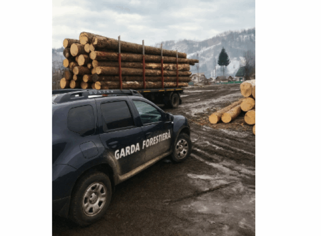Concurs reluat pentru șefia Gărzii Forestiere Brașov. Rezultate „nesatifăcătoare” la selecția precedentă 3 concurs | MyTex.ro