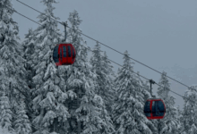 Tarifele pentru transportul pe cablu din Poiana Brașov cresc în sezonul 2025-2026. Cât costă o urcare şi o coborâre 8 Poiana Braşov | MyTex.ro