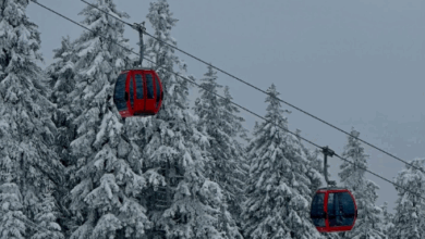 Tarifele pentru transportul pe cablu din Poiana Brașov cresc în sezonul 2025-2026. Cât costă o urcare şi o coborâre 1 Tarifele pentru transportul pe cablu din Poiana Brașov | MyTex.ro