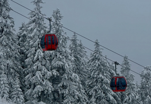 Tarifele pentru transportul pe cablu din Poiana Brașov cresc în sezonul 2025-2026. Cât costă o urcare şi o coborâre 1 Tarifele pentru transportul pe cablu din Poiana Brașov | MyTex.ro