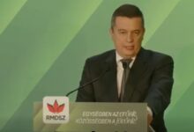 Sorin Grindeanu