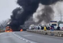 beată criță | MyTex.ro
