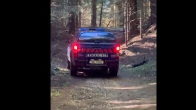 Turist plecat singur în drumeție, atacat de urs, în apropierea stațiunii Poiana Brașov / Update: Bărbatul a fost operat 2 Morți | MyTex.ro