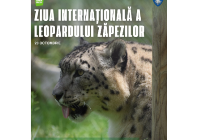 Ziua Internațională a Leopardului Zăpezilor 3 Ziua Internațională a Leopardului Zăpezilor | MyTex.ro