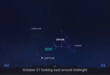 | MyTex.ro