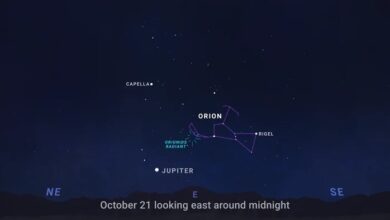 Un brașovean | MyTex.ro