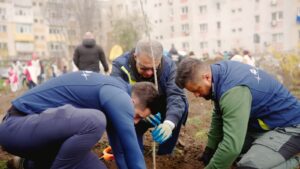 Pădure urbană lângă Centrul de Afaceri CATTIA 20 Pădure urbană lângă Centrul de Afaceri CATTIA | MyTex.ro