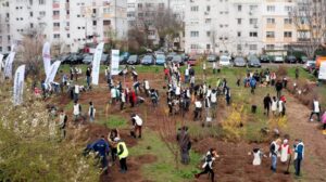 Pădure urbană lângă Centrul de Afaceri CATTIA 21 Pădure urbană lângă Centrul de Afaceri CATTIA | MyTex.ro