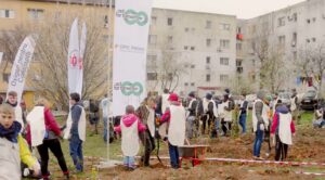 Pădure urbană lângă Centrul de Afaceri CATTIA 22 Pădure urbană lângă Centrul de Afaceri CATTIA | MyTex.ro