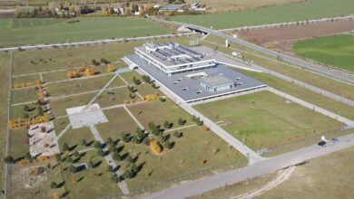 Pădure urbană lângă Centrul de Afaceri CATTIA 1 Pădure urbană lângă Centrul de Afaceri CATTIA | MyTex.ro