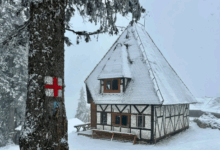 Lucrările | MyTex.ro
