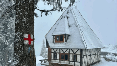 Lucrările | MyTex.ro