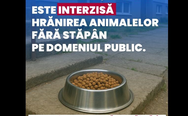 Primăria Făgăraș, decizie care a stârnit furia iubitorilor de animale! „E mai ușor sa amendați oamenii care fac un bine decât să găsiți cauza” / „A lăsa un animal flămând nu înseamnă civilizație, ci cruzime” 3 primăria făgăraș | MyTex.ro