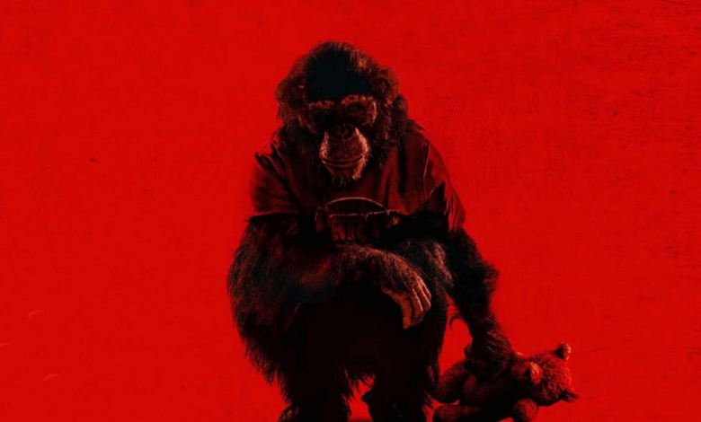 Premiera națională a filmului „Instinct Primal” (Primate), primul mare horror al anului 2026, la Dracula Film Festival 11 | MyTex.ro