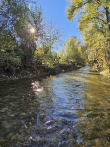 Ghimbăşelul, loc de joacă pentru copii şi părinţi 32 Ghimbăşelul | MyTex.ro