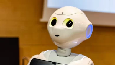 Urșii și lupii au făcut prăpăd în județul Brașov | MyTex.ro