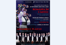 Clasic e fantastic - demonstrează Irina Sârbu | MyTex.ro