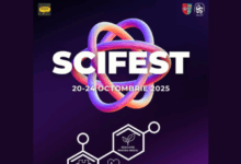 Activități creative și distractive pentru copii | MyTex.ro