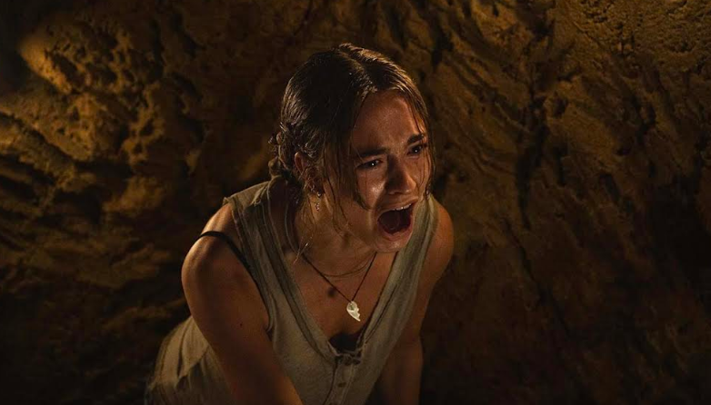 Premiera națională a filmului „Instinct Primal” (Primate), primul mare horror al anului 2026, la Dracula Film Festival 15 | MyTex.ro