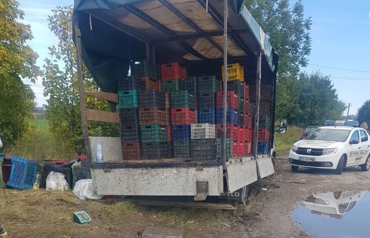 poliția | MyTex.ro