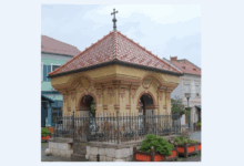 George Scripcaru | MyTex.ro