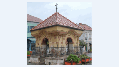 Troiţele | MyTex.ro