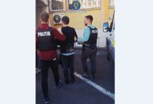 agent | MyTex.ro