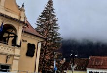 Companie low cost | MyTex.ro