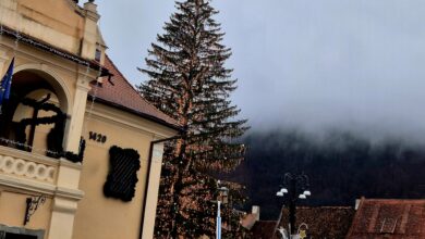 Luminițele din Pomul de Crăciun din Brașov s-au aprins... temporar 7 Fabrica de zahăr Bod va fi vândută la fier vechi | MyTex.ro