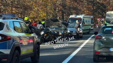 vârstnicul | MyTex.ro