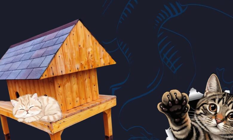 Primăria Ploiești, proiect pilot pentru pisicuțele... străzii / „Un oraș civilizat nu înseamnă doar asfalt și betoane. Înseamnă și bunătate" 3 Primăria Ploiești | MyTex.ro