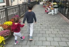 Polițiștii locali | MyTex.ro