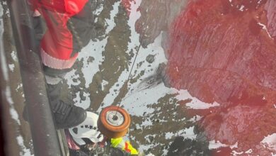 Brașov - Intervenție cu elicopterul pentru o turistă care a alunecat 100 de metri în Valea Ciubotea 1 Intervenție | MyTex.ro