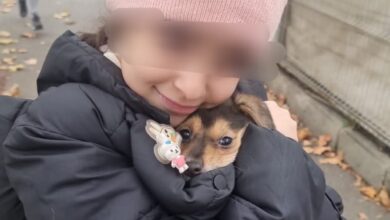 Lucrările | MyTex.ro