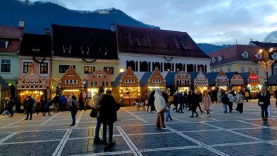 Vin fiert | MyTex.ro