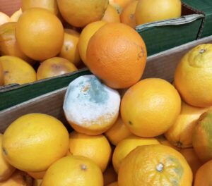 ANPC a aplicat amenzi de peste 5,45 milioane de lei în 5 zile 15 ANPC | MyTex.ro