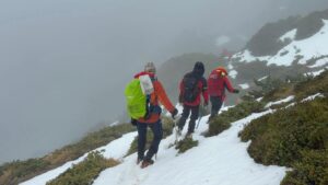 Tânărul | MyTex.ro